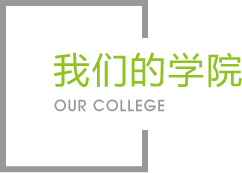 球速体育